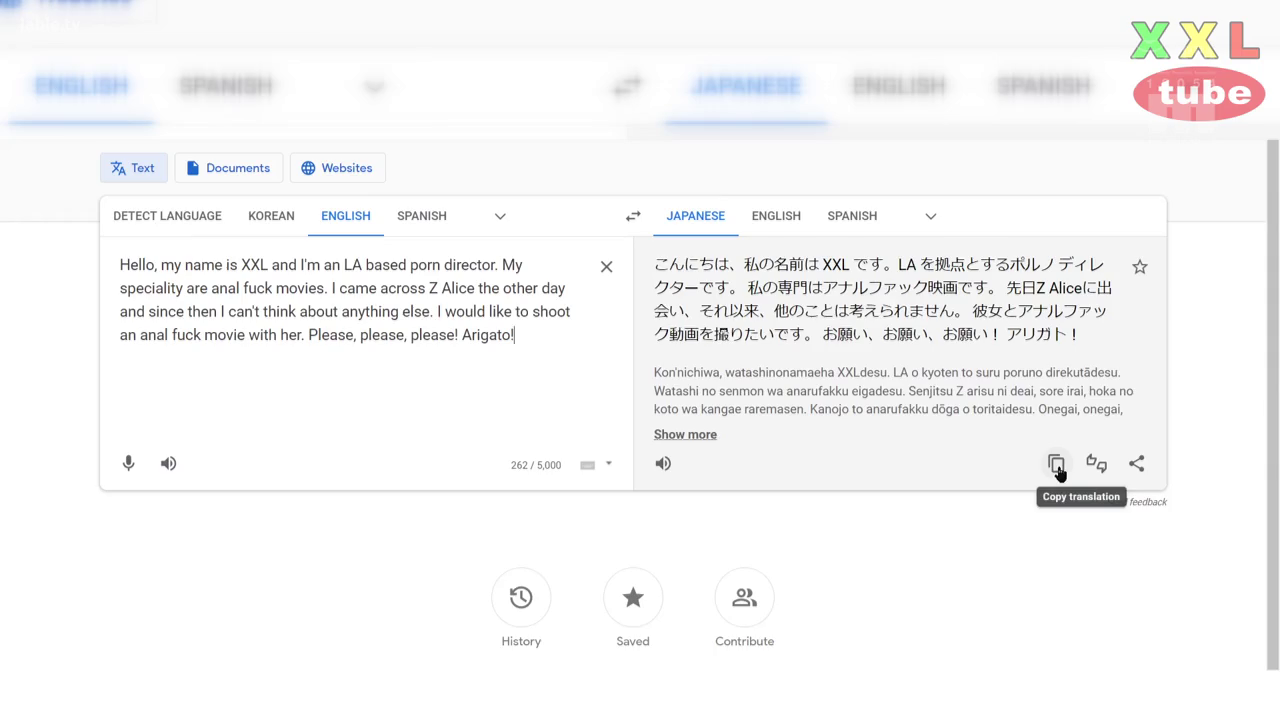 网页 · 翻译 · 色情文本