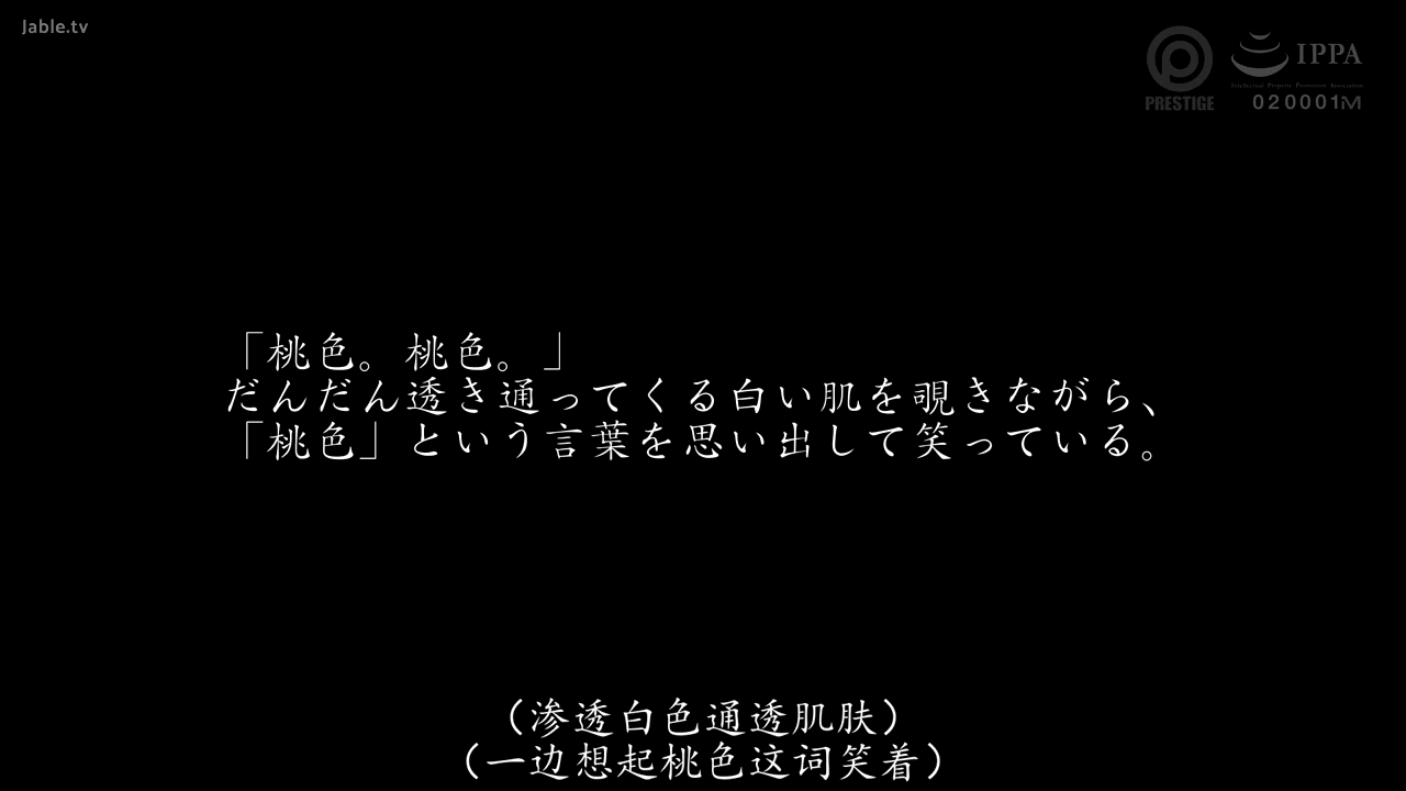 文字 · 显示字幕 · 黑底白字
