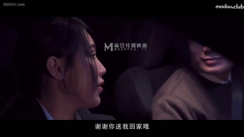 坐姿 · 交谈 · 自然 · 职业装 · 车内 · 侧脸 · 安全带 · 夜间