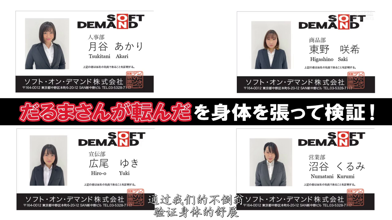 职业装 · 正坐 · 影棚 · 职业微笑 · 拼图 · 证件照 · 展示信息 · 职员卡