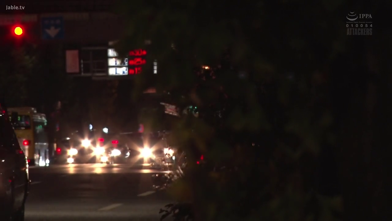 夜间城市街道 · 车辆通行 · 车灯 · 前景遮挡