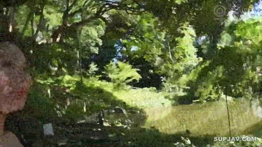 站立 · 全景 · ぼかし · 未知 · 森林 · 低画质