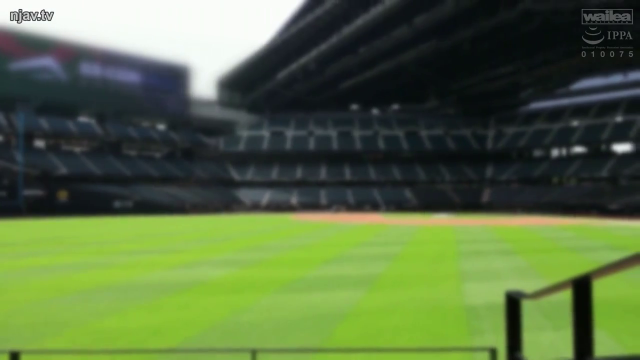 ぼかし · 野球場 · 観客席