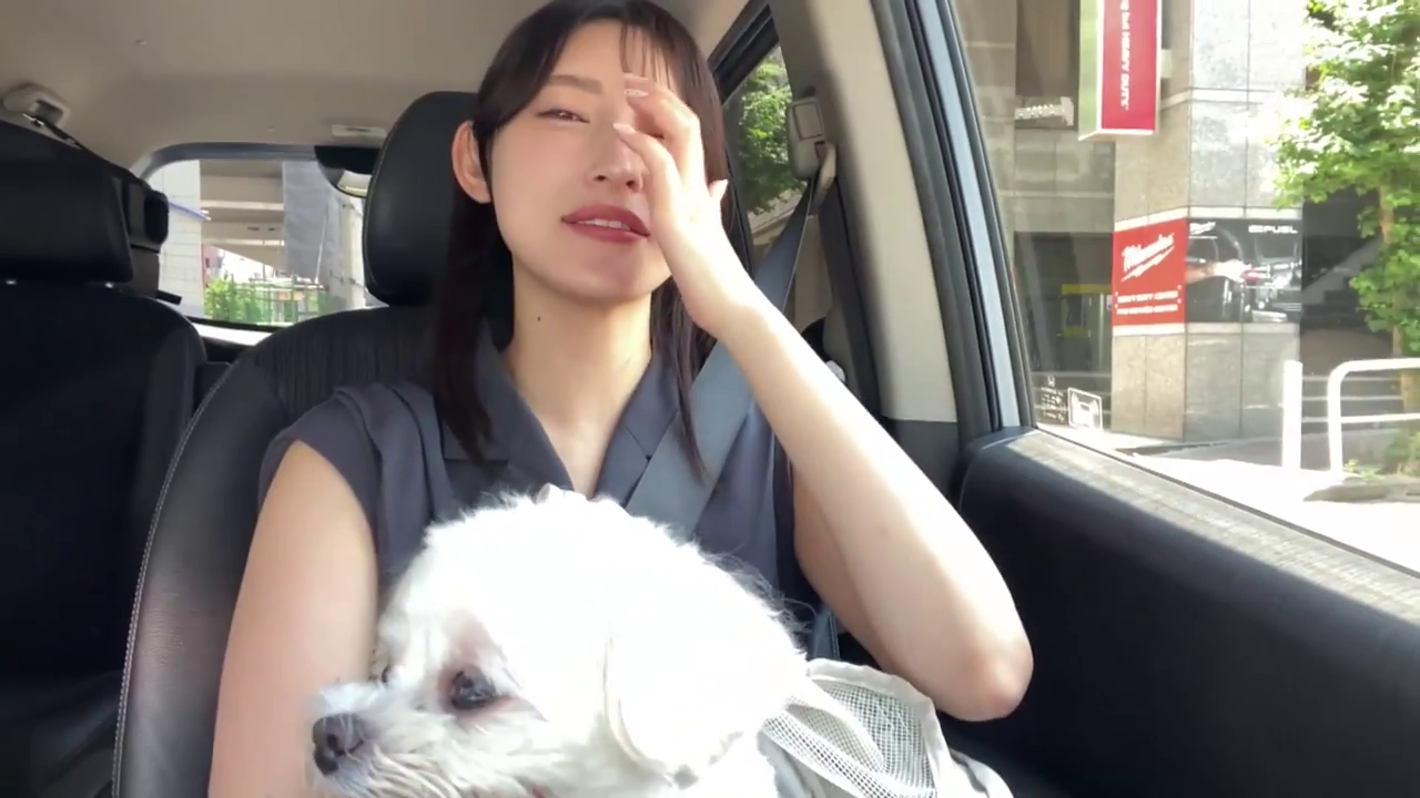 坐姿 · 安全带 · 脸部及上半身 · 宠物狗 · 灰色无袖衫 · 汽车内 · 抱狗 · 眯眼微笑