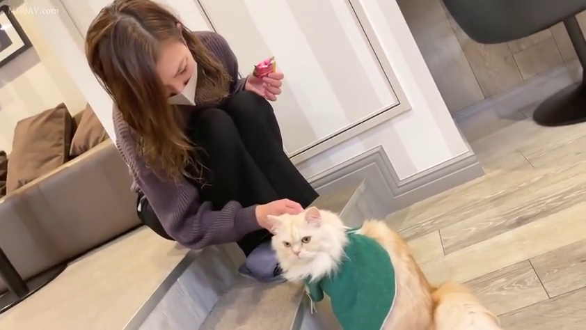 室内 · 蹲姿 · 中景 · 居家 · 平淡 · 口罩 · 抚摸宠物 · 猫