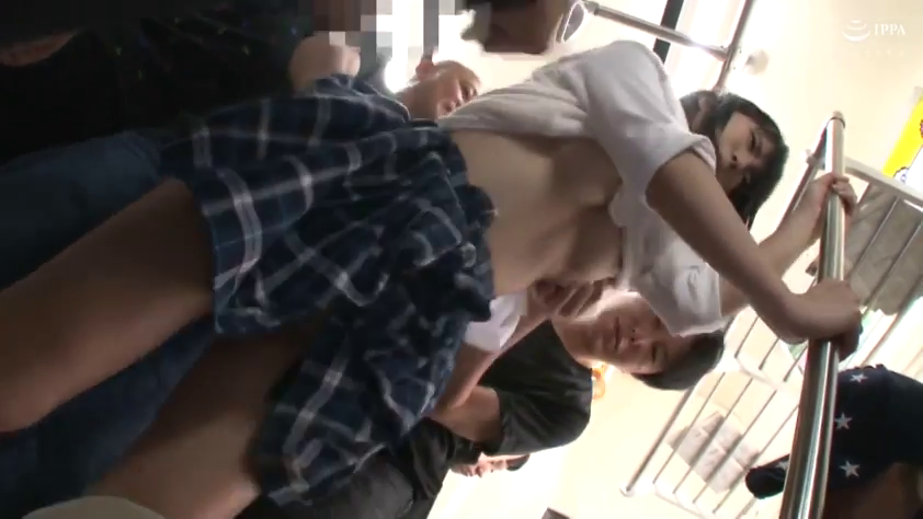 腹部 · 站姿 · 扶手 · 触摸 · 格子裙 · 拥挤 · 车厢 · 无助