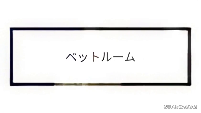 文字 · 日文字幕 · 画面 · 提示