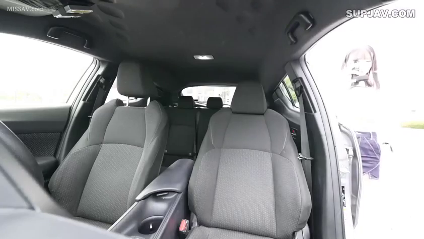 站立 · 紫色短裙 · 汽車 · 轿车内 · 车内环境特写 · 准备上车 · 车内POV视角