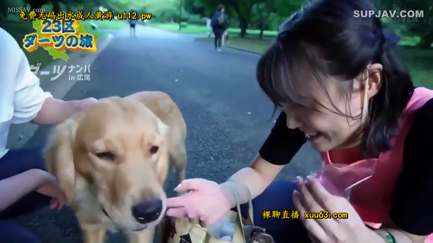 蹲姿 · 中景 · 微笑 · 休闲服 · 公園 · 综艺 · 逗狗 · 金毛犬