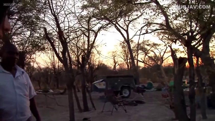 Serious · Stand · Medium shot · Observation · 白色POLO衫 · 夕阳 · 郊外林地 · 野营车