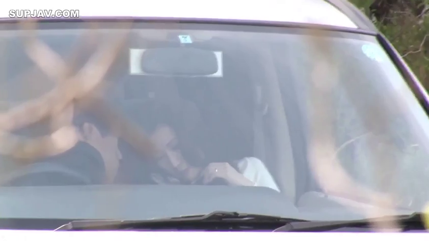 远景 · 车内 · 休闲服 · 模糊 · 汽车 · 趴伏 · 车震 · 车载性爱