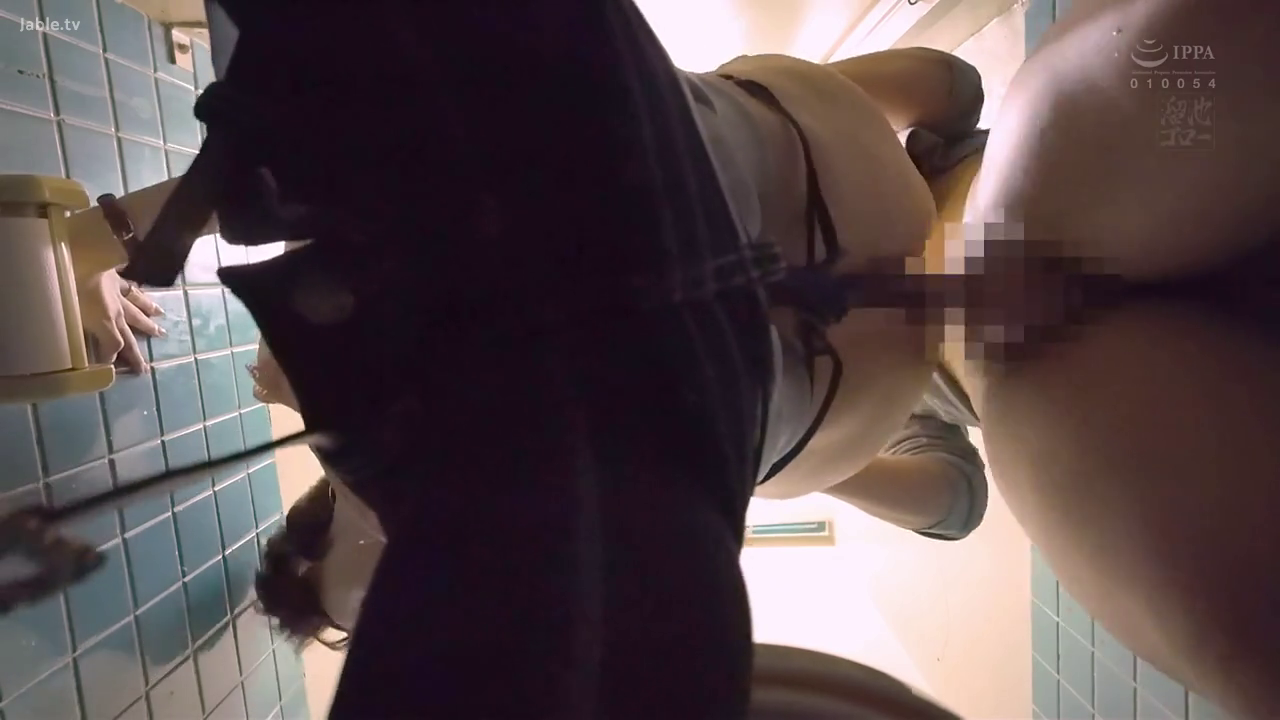性交 · 低视角 · 格子裙 · 洗手间 · 生殖器特写 · 骑乘姿势 · 纸巾架