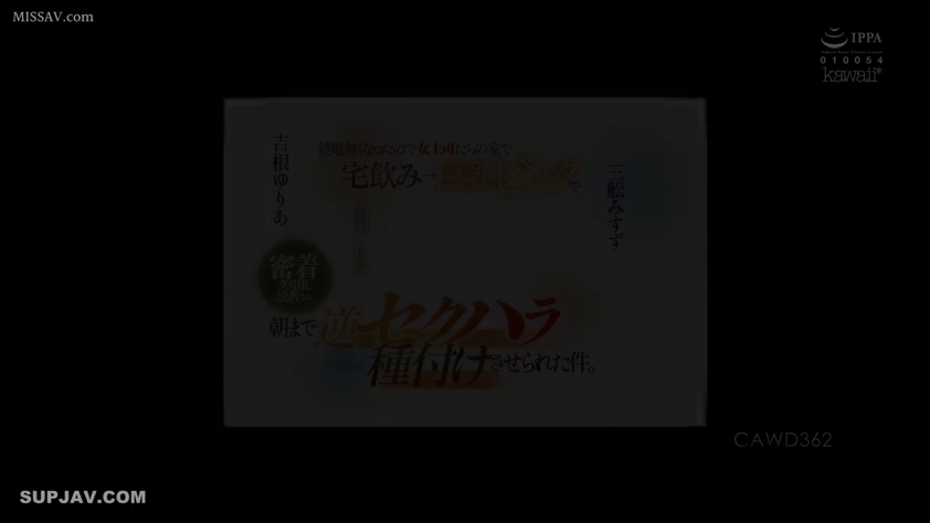 中文字幕 · 文字 · 标题背景