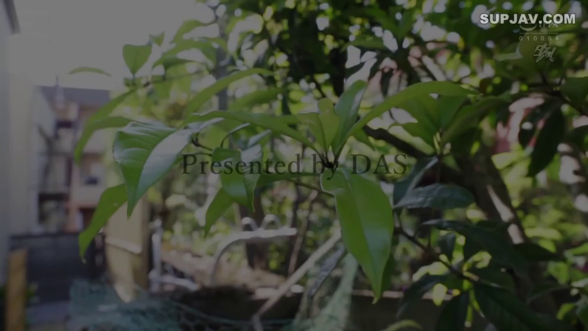 屋外 · 水印 · 树木 · 植物