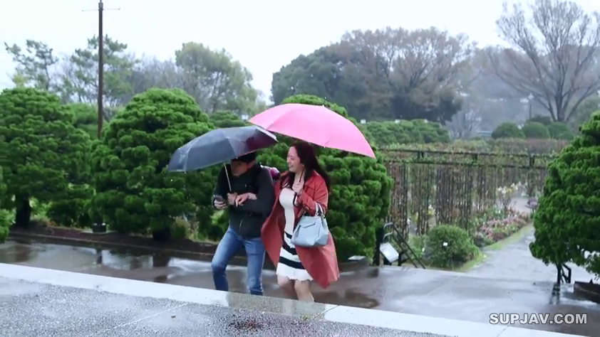 遠景 · 公園 · 红色外套 · 愉快 · 傘 · 傘をさす · 并肩走 · 雨天户外