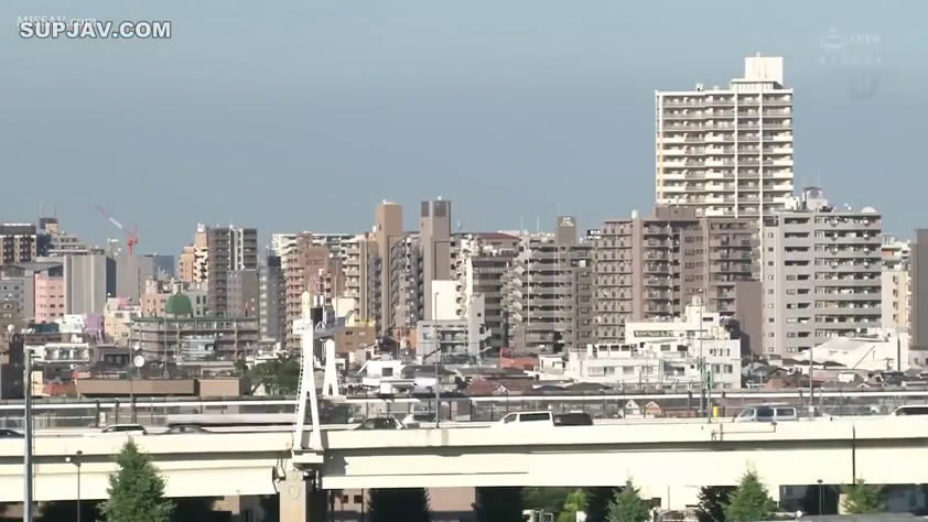 远景 · 高架 · 城市室外 · 风景空镜