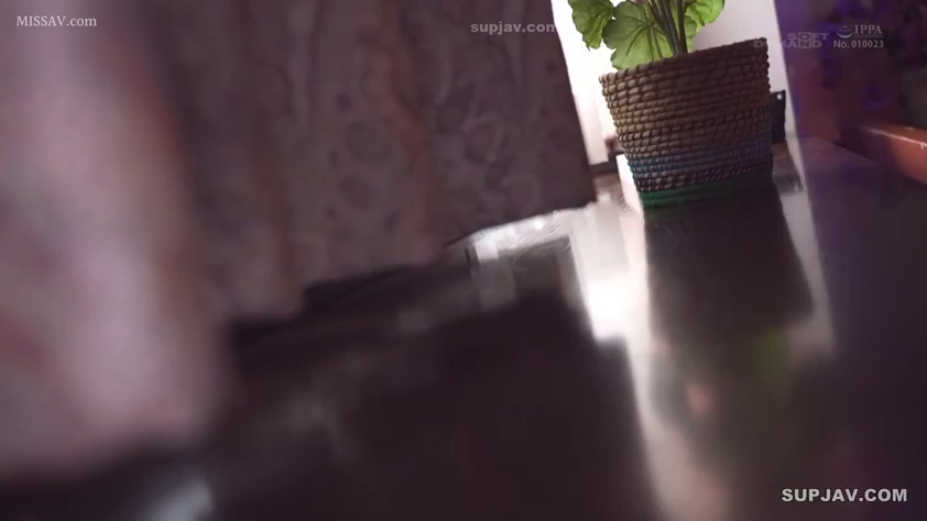 室内 · 盆栽 · 画面がぼやけています · 局所