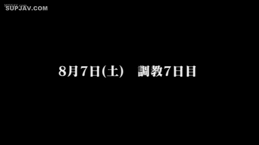 黑色背景 · 标题界面 · 字幕文字 · 内容提示